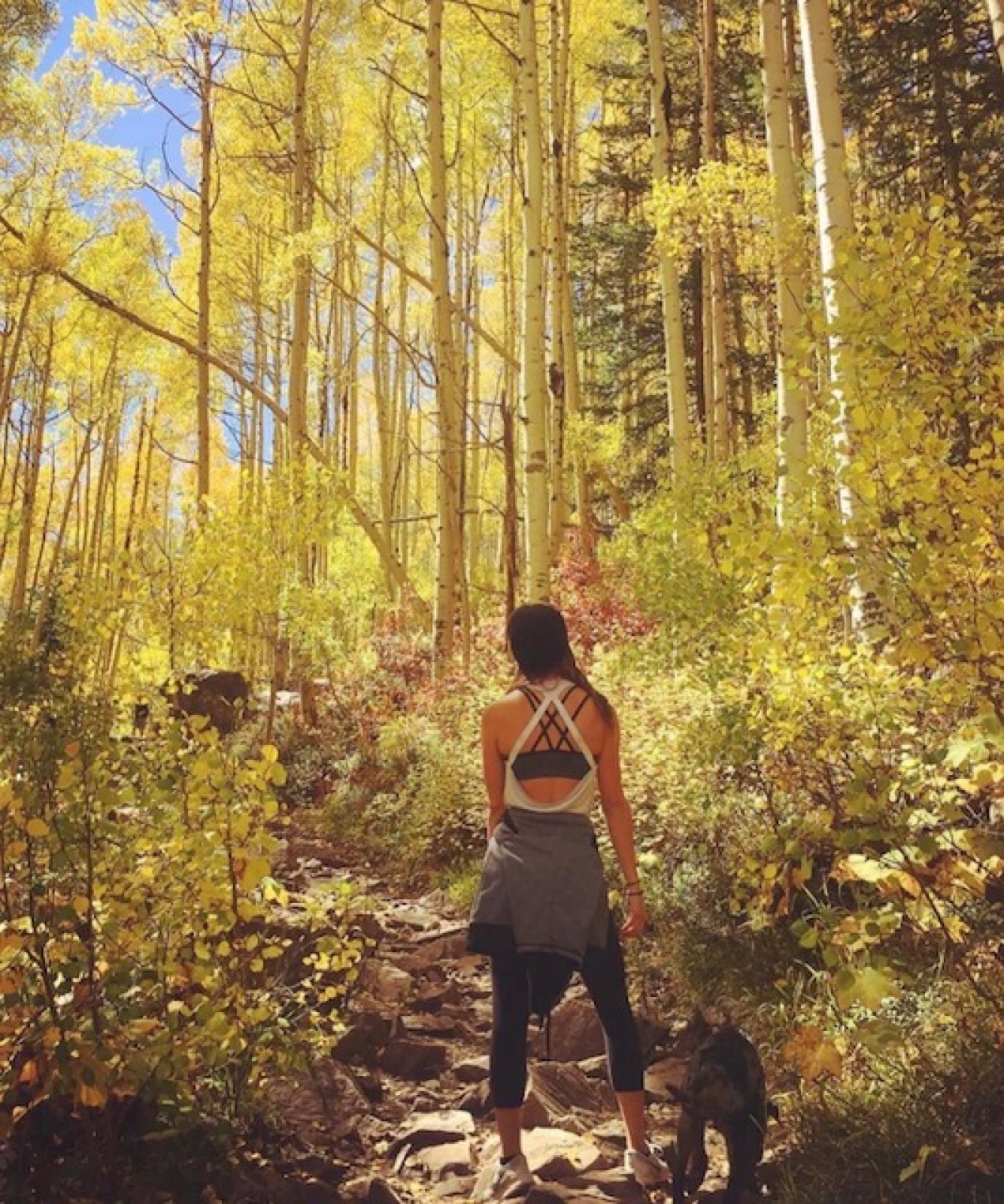 Kate hiking a trail through golden autumn aspens