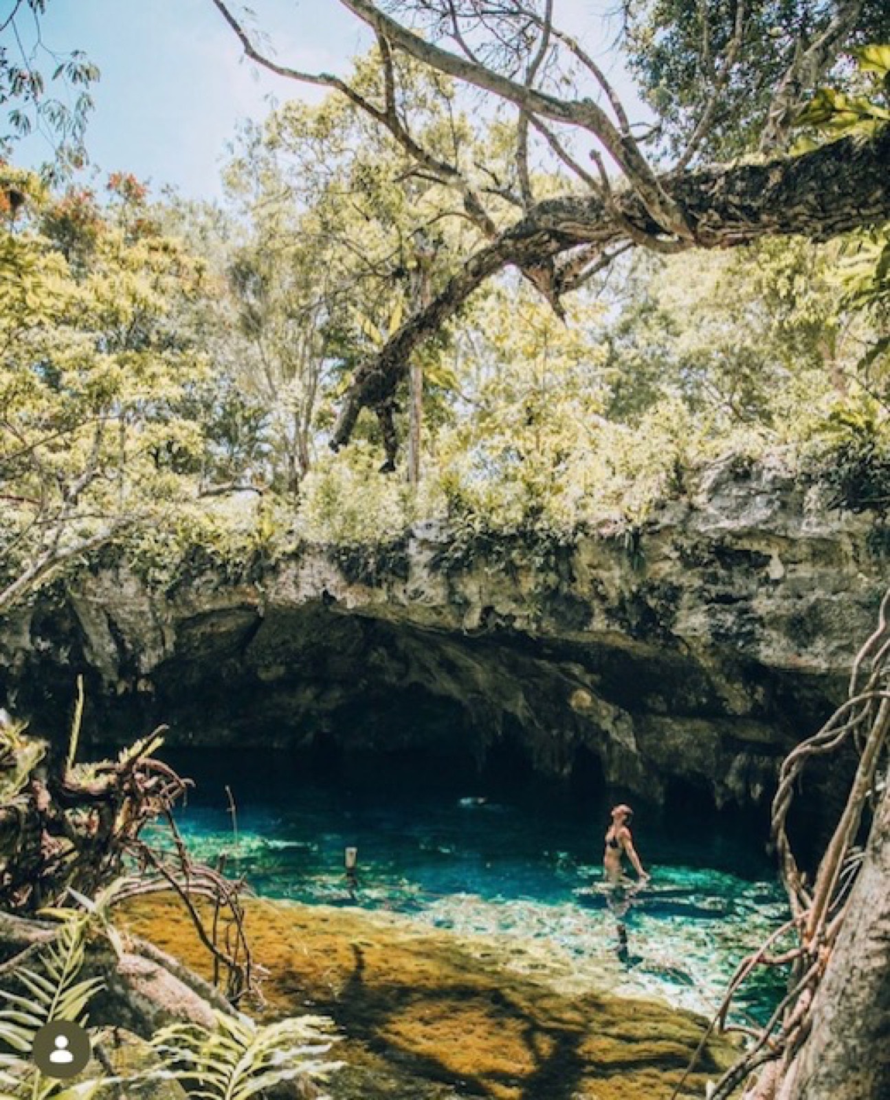 Kate wading in the turquoise water of a jungle cenote